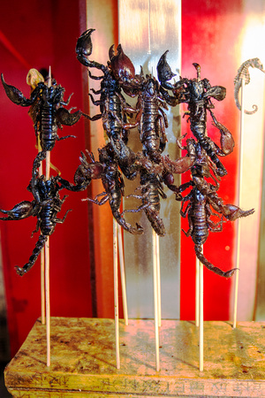 Deep Fried Scorpions, Beijing, China