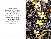 "...it is he who falls deeply into grief."