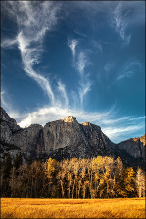 Grass, Trees, Mountain, Sky